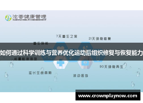 如何通过科学训练与营养优化运动后组织修复与恢复能力