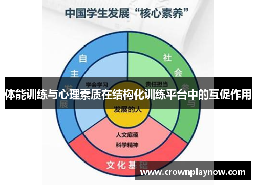 体能训练与心理素质在结构化训练平台中的互促作用