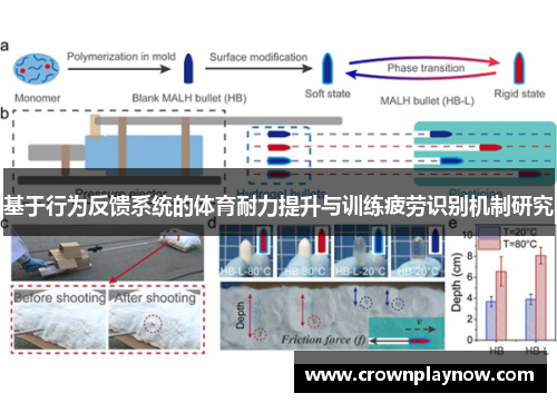 基于行为反馈系统的体育耐力提升与训练疲劳识别机制研究